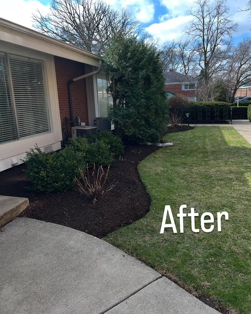 Professional lawn care service for year-round maintenance across Chicago, IL - Balleza Landscaping