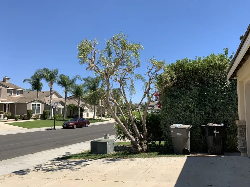 Reliable lawn mowing service with custom design in Riverside, CA by Ballinas Tree and Landscaping Service