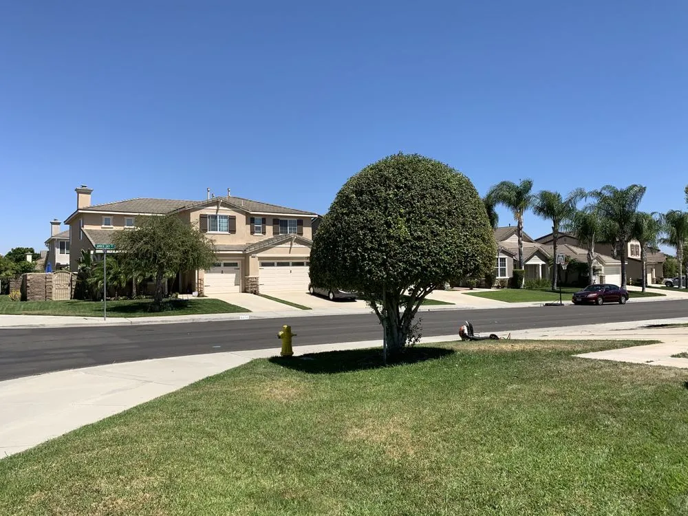 Top-rated landscape installation for beautiful yards in Riverside, CA by Ballinas Tree and Landscaping Service