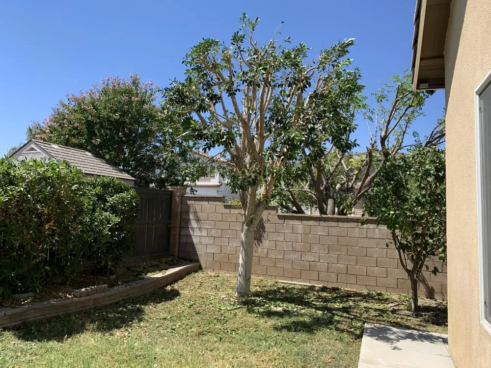 Local yard maintenance for residential properties across Riverside, CA - Ballinas Tree and Landscaping Service