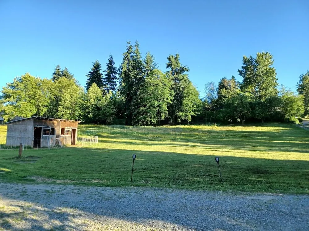 Affordable landscaping services for beautiful yards across Shoreline, WA - Ballinger Landscaping