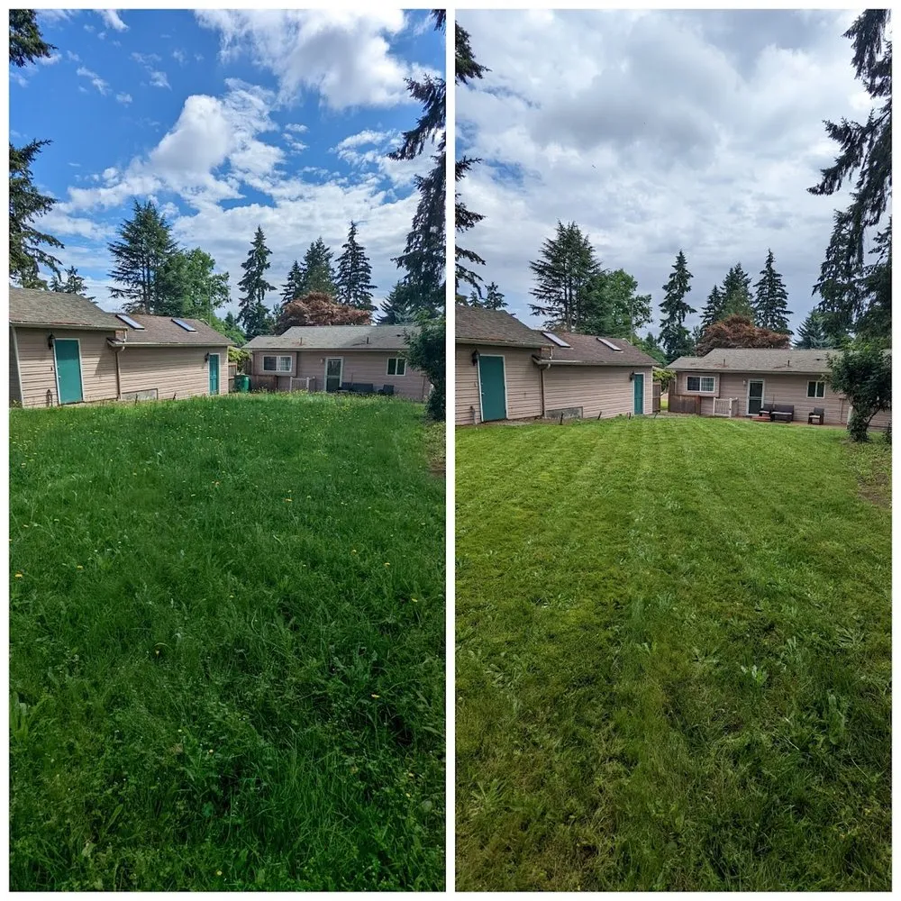 Top-rated landscape installation for outdoor upgrades across Shoreline, WA - Ballinger Landscaping