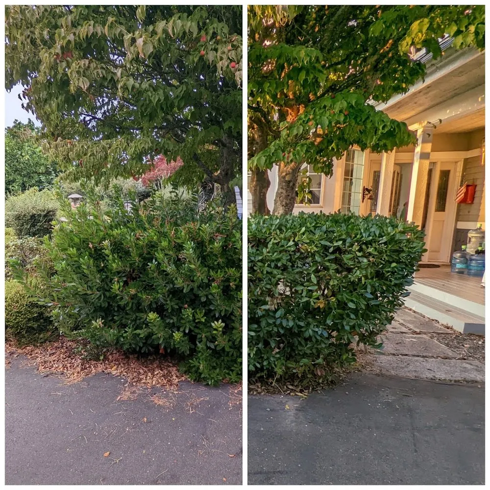 Affordable landscape installation experts serving Shoreline, WA - Ballinger Landscaping