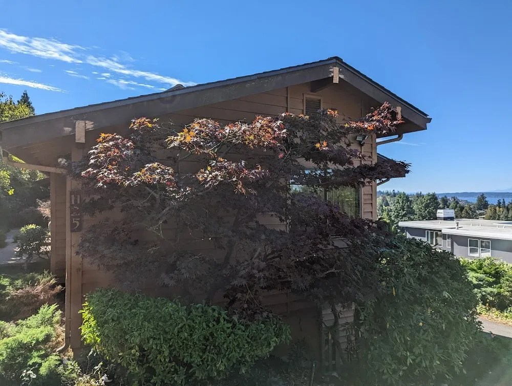 Professional lawn care service for homes across Shoreline, WA - Ballinger Landscaping