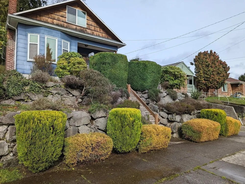 Trusted yard maintenance in Shoreline, WA by Ballinger Landscaping