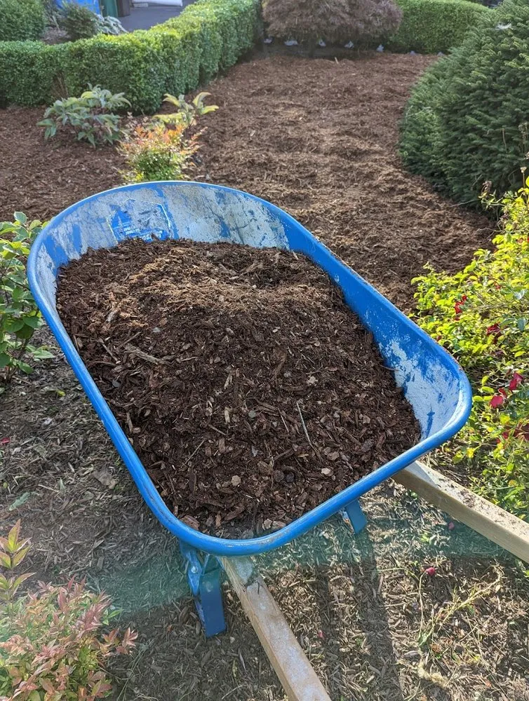 Expert landscape design for year-round maintenance in Shoreline, WA by Ballinger Landscaping