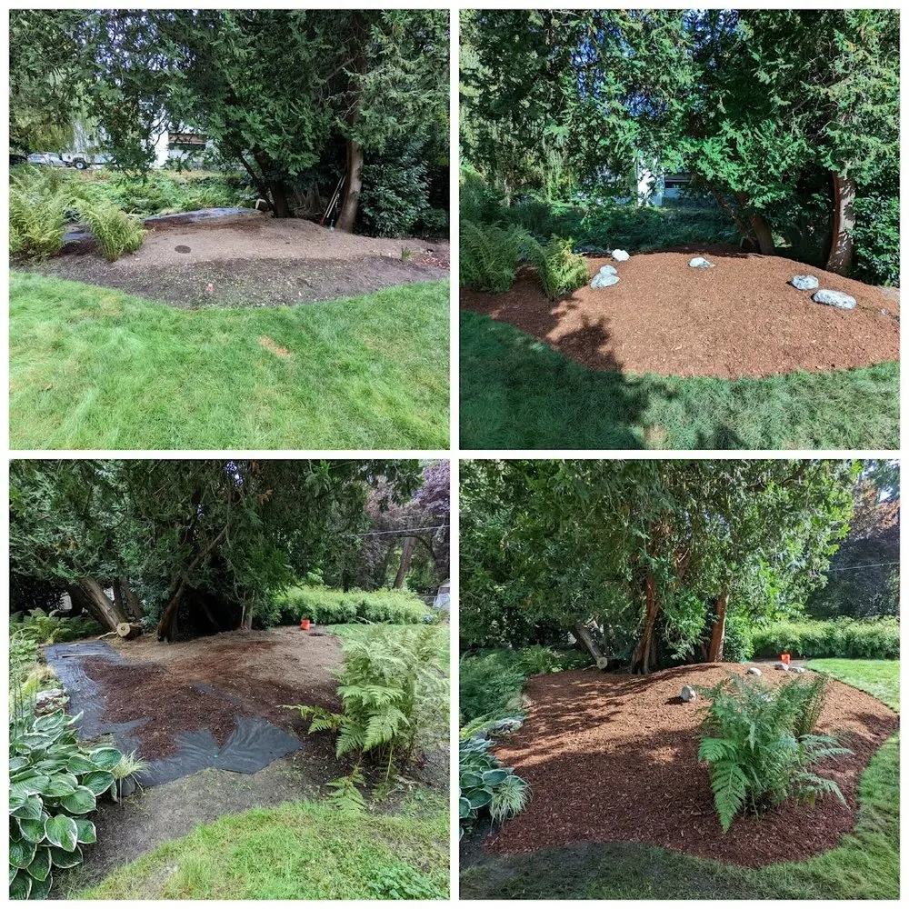 Expert residential landscaping for year-round maintenance across Shoreline, WA - Ballinger Landscaping