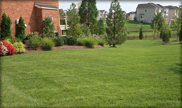 Reliable outdoor landscaping in Saint Louis, MO by Ballpark Cuts