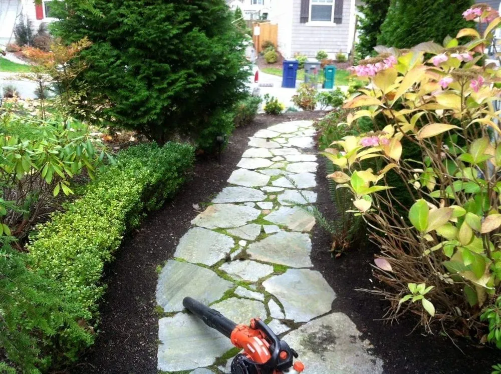 Top-rated yard cleanup service near you in Lake Stevens, WA by Ballpark Landscapes