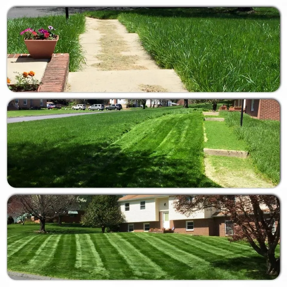 Reliable landscaping services experts serving Abingdon, MD - Ballpark Lawns