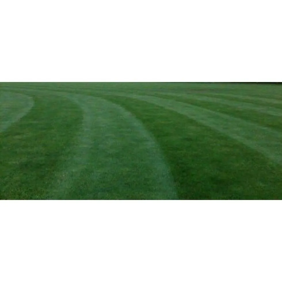 Top-rated yard cleanup service for residential properties in Abingdon, MD by Ballpark Lawns