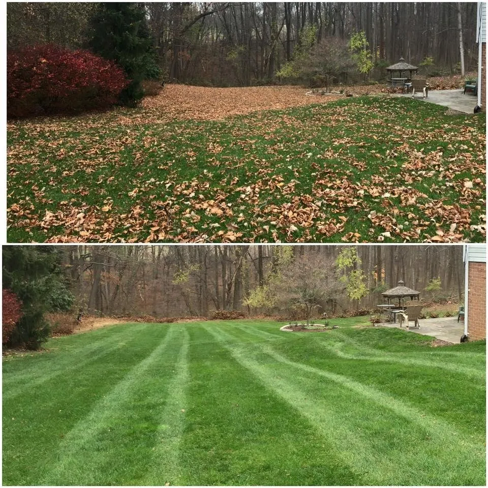 Professional garden landscaping in Abingdon, MD - Ballpark Lawns