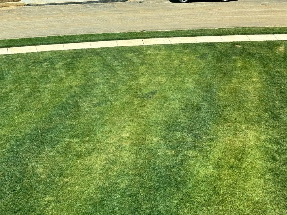 Custom yard maintenance for year-round maintenance across Camp Hill, PA - Ballpark Lawns