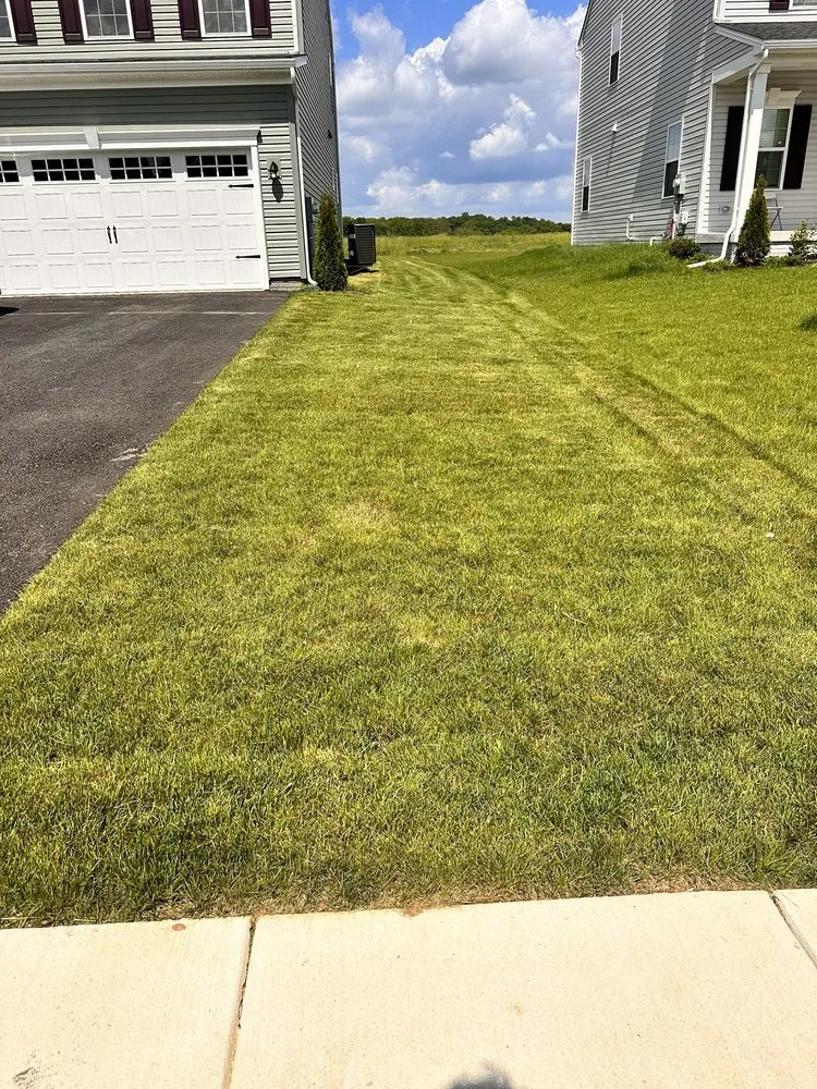 Local yard cleanup service for beautiful yards in Camp Hill, PA by Ballpark Lawns