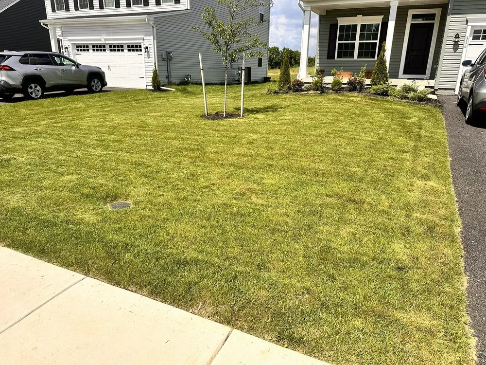 Top-rated outdoor landscaping in Camp Hill, PA by Ballpark Lawns