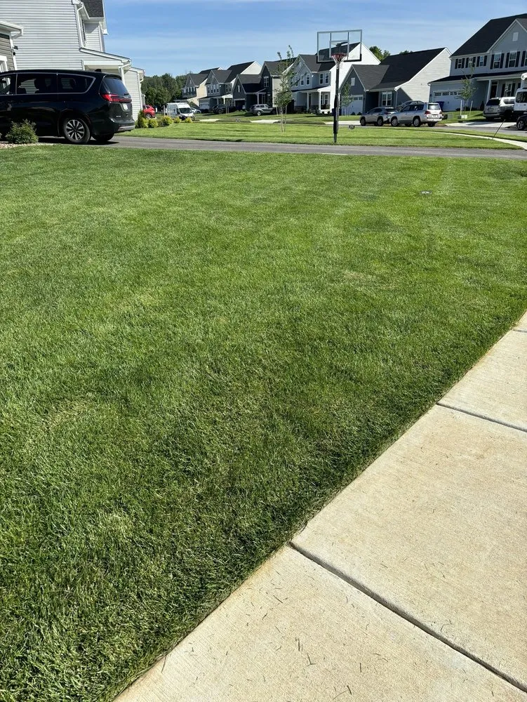Affordable outdoor landscaping in Camp Hill, PA by Ballpark Lawns