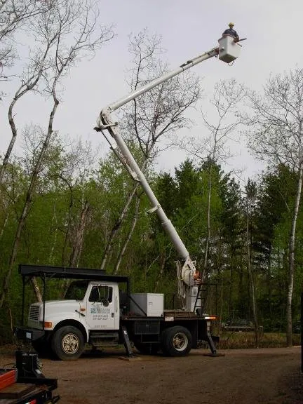 Affordable yard cleanup service in Marine on St Croix, MN - Balsam Tree & Shrub Care