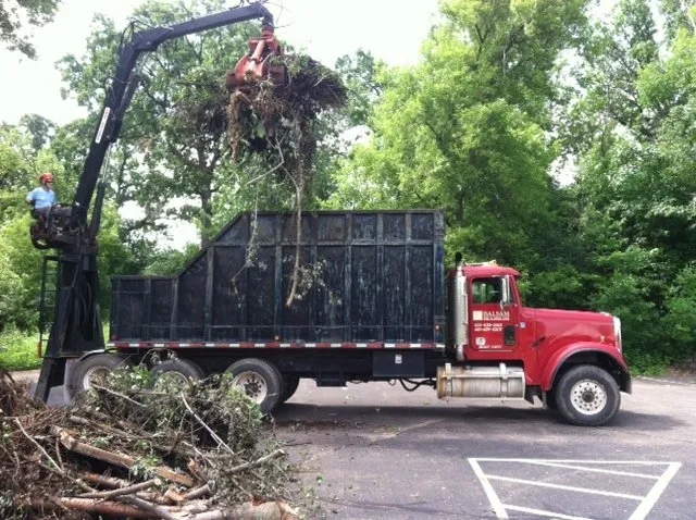 Affordable landscape installation experts serving Marine on St Croix, MN - Balsam Tree & Shrub Care