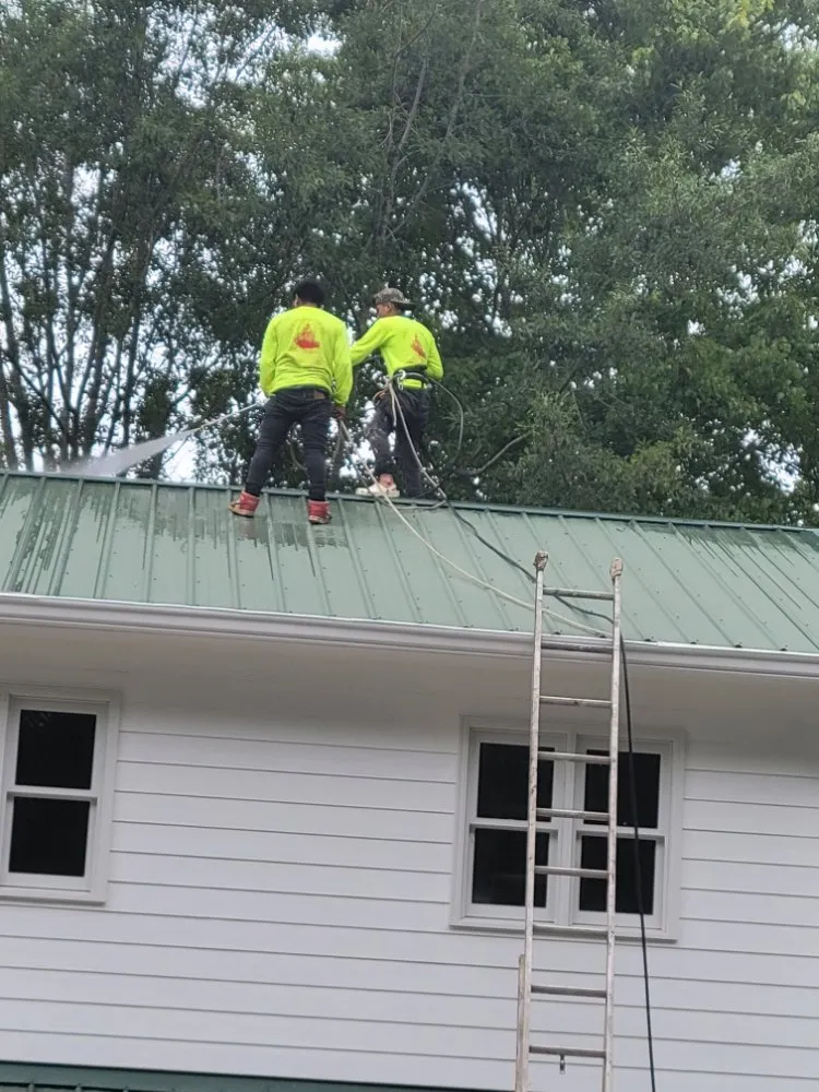 Professional landscape design for beautiful yards in Carrollton, GA by Baltazar Landscape