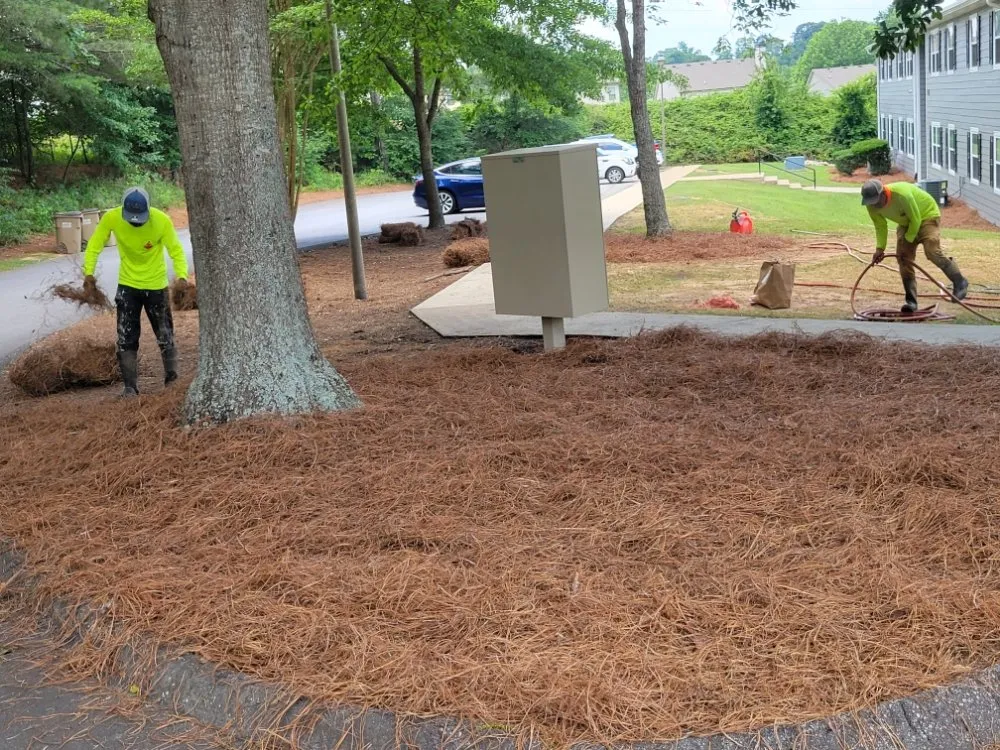 Expert lawn mowing service in Carrollton, GA - Baltazar Landscape