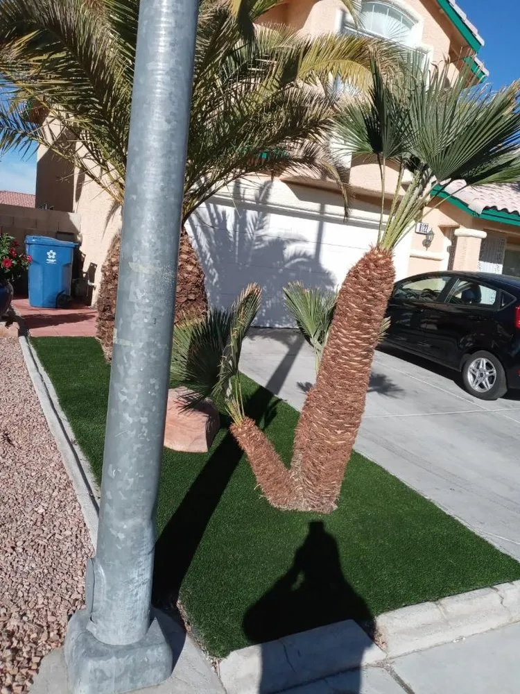 Local garden landscaping in North Las Vegas, NV - Baltazar Landscaping