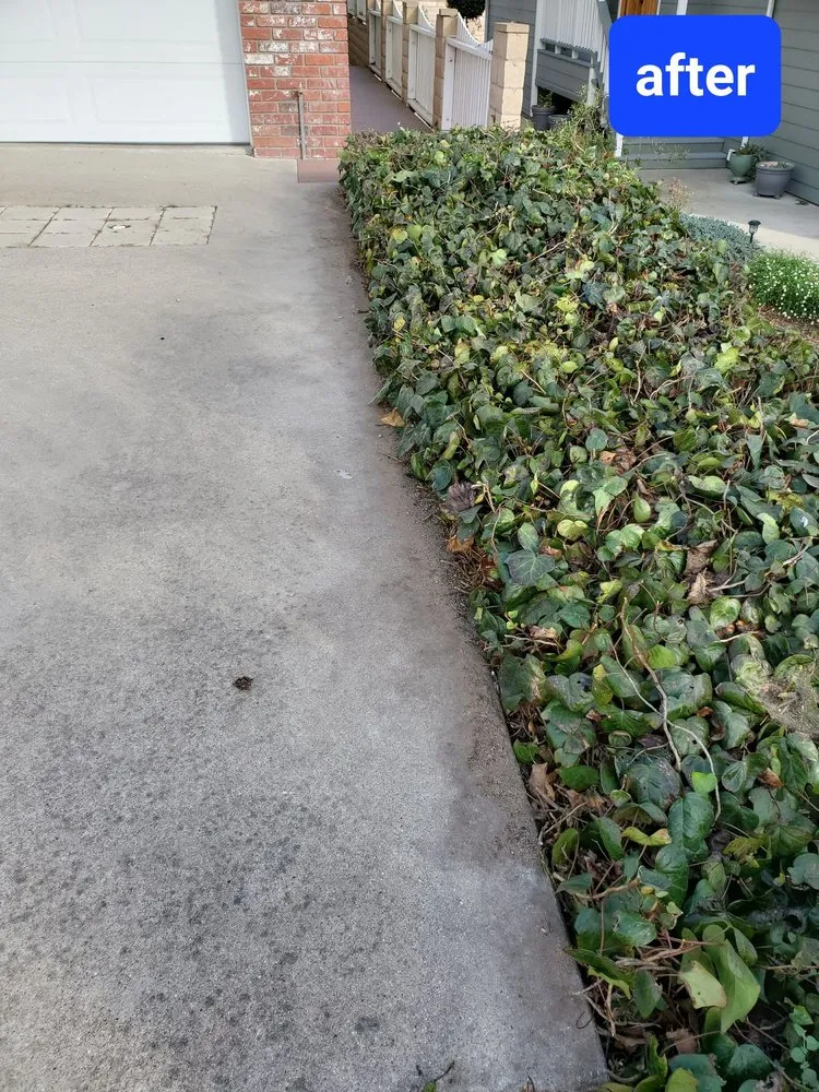 Top-rated outdoor landscaping with custom design in Baywood-Los Osos, CA by Baltazar ruiz gardening
