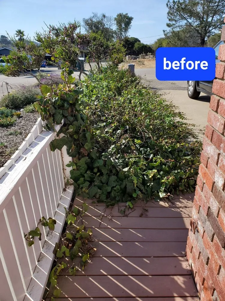 Custom lawn mowing service for year-round maintenance across Baywood-Los Osos, CA - Baltazar ruiz gardening