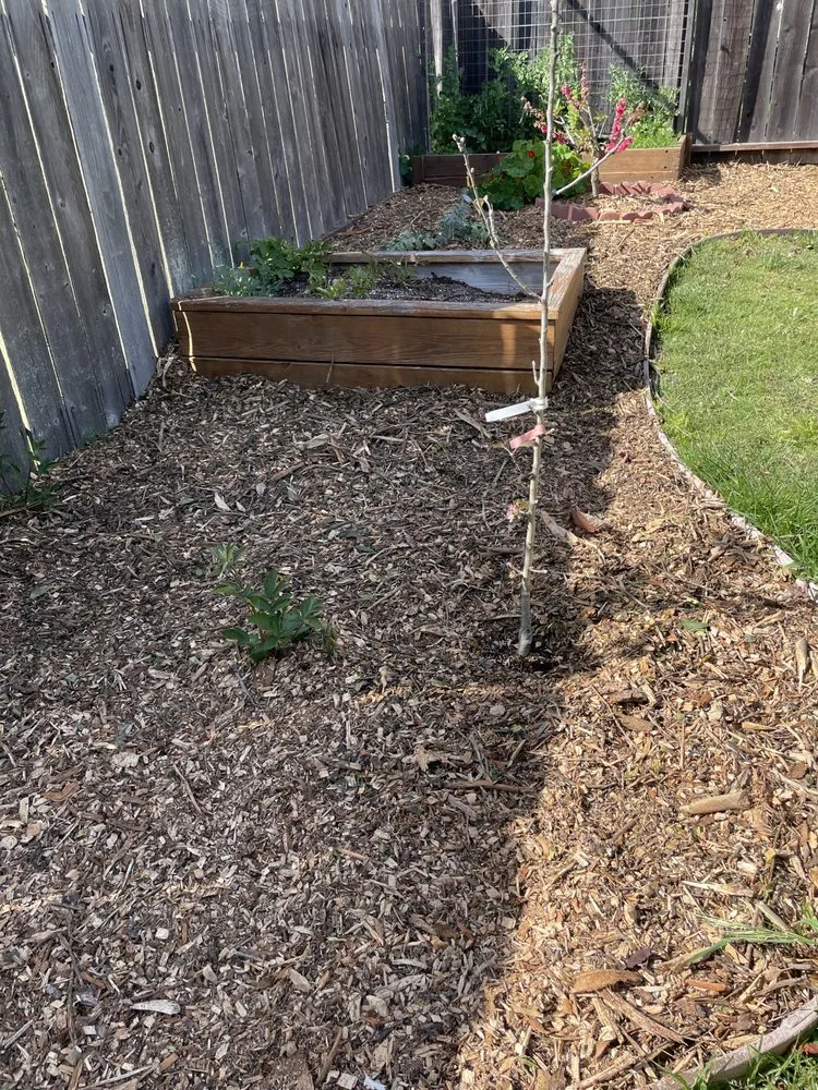 Trusted landscaping services in Baywood-Los Osos, CA by Baltazar ruiz gardening