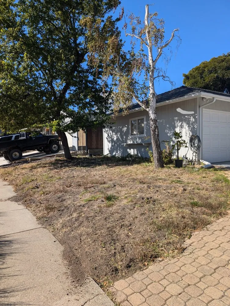 Trusted yard cleanup service with custom design across Baywood-Los Osos, CA - Baltazar ruiz gardening