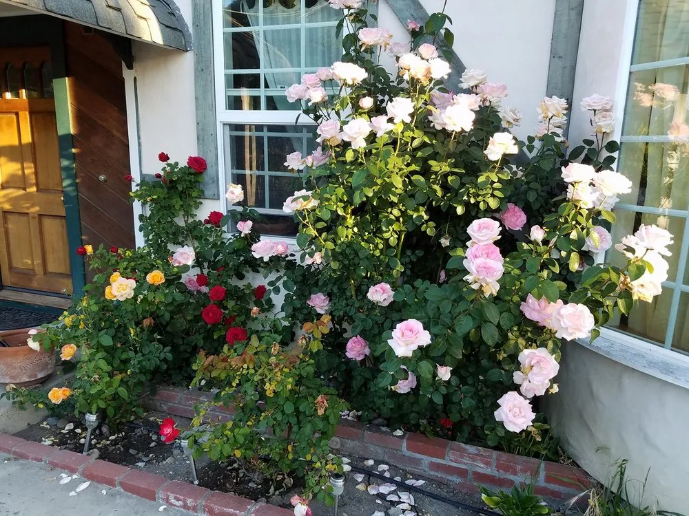 Top-rated landscape design in Baywood-Los Osos, CA - Baltazar ruiz gardening