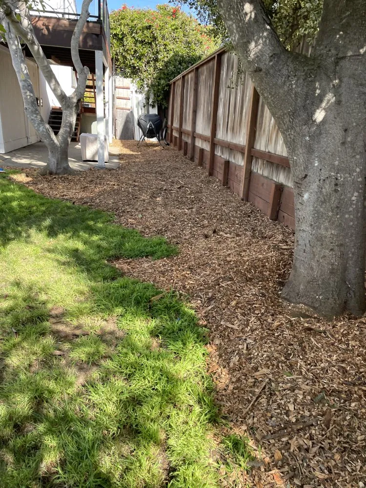 Top-rated residential landscaping for homes across Baywood-Los Osos, CA - Baltazar ruiz gardening