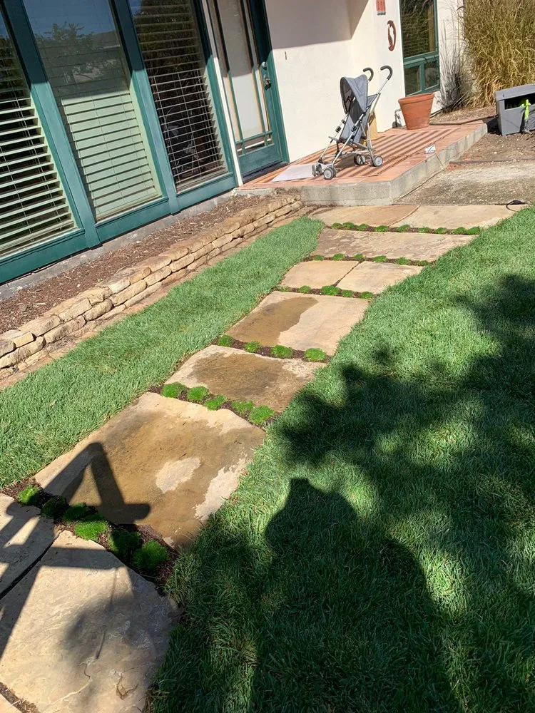 Local lawn care service for year-round maintenance in Baywood-Los Osos, CA by Baltazar ruiz gardening