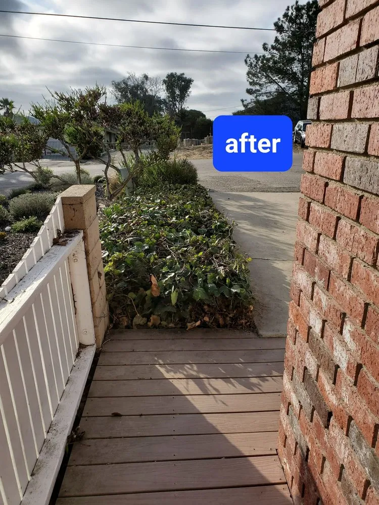 Trusted lawn mowing service in Baywood-Los Osos, CA by Baltazar ruiz gardening