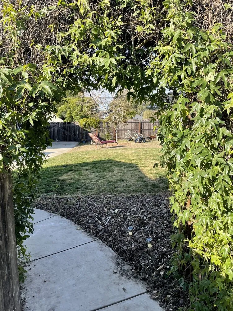 Professional residential landscaping for outdoor upgrades across Baywood-Los Osos, CA - Baltazar ruiz gardening