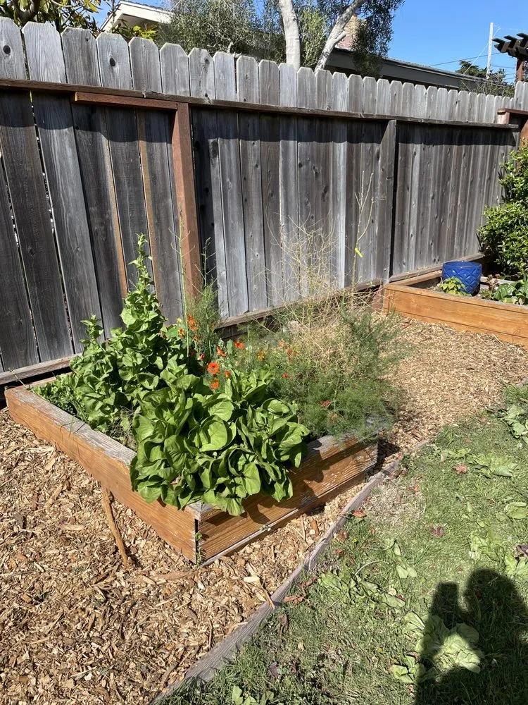 Custom landscape design experts serving Baywood-Los Osos, CA - Baltazar ruiz gardening