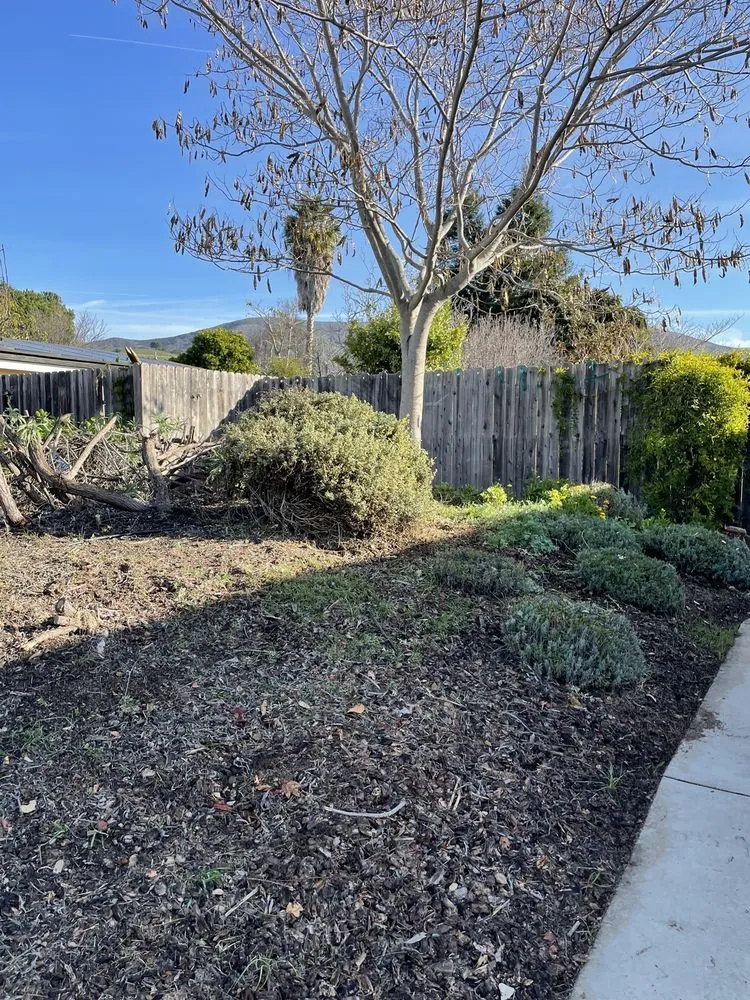 Reliable landscape design in Baywood-Los Osos, CA - Baltazar ruiz gardening