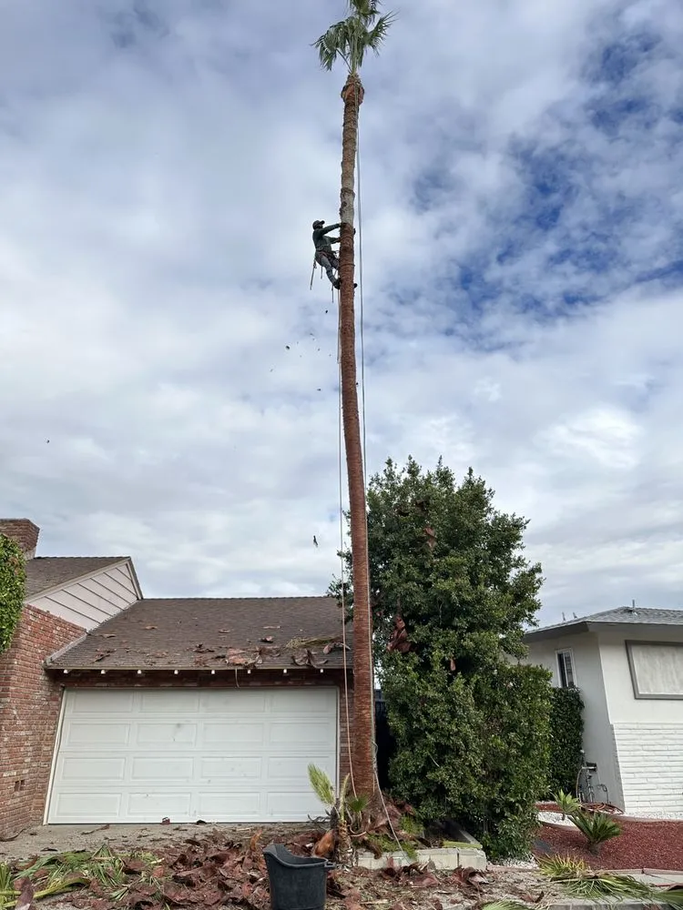 Professional lawn mowing service for outdoor upgrades in Littlerock, CA by Baltazar’s Lanscaping