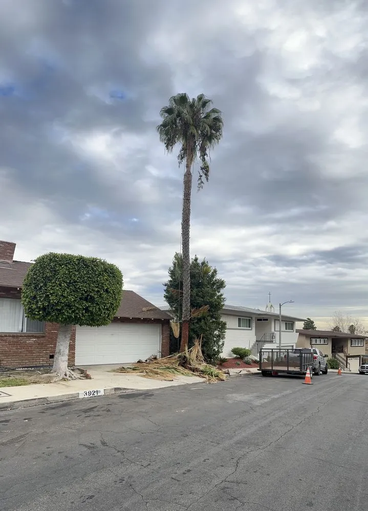 Expert garden landscaping for residential properties across Littlerock, CA - Baltazar’s Lanscaping