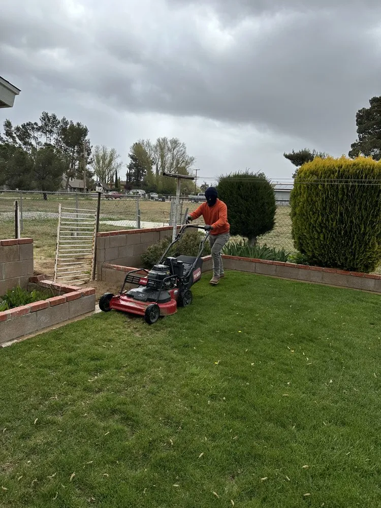 Top-rated landscaping services for beautiful yards in Littlerock, CA by Baltazar’s Lanscaping