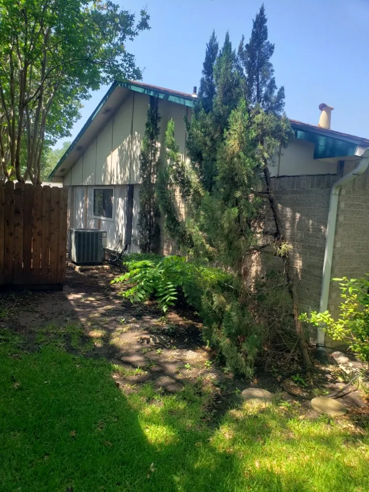 Affordable yard maintenance for year-round maintenance across Garland, TX - Balthazar Success