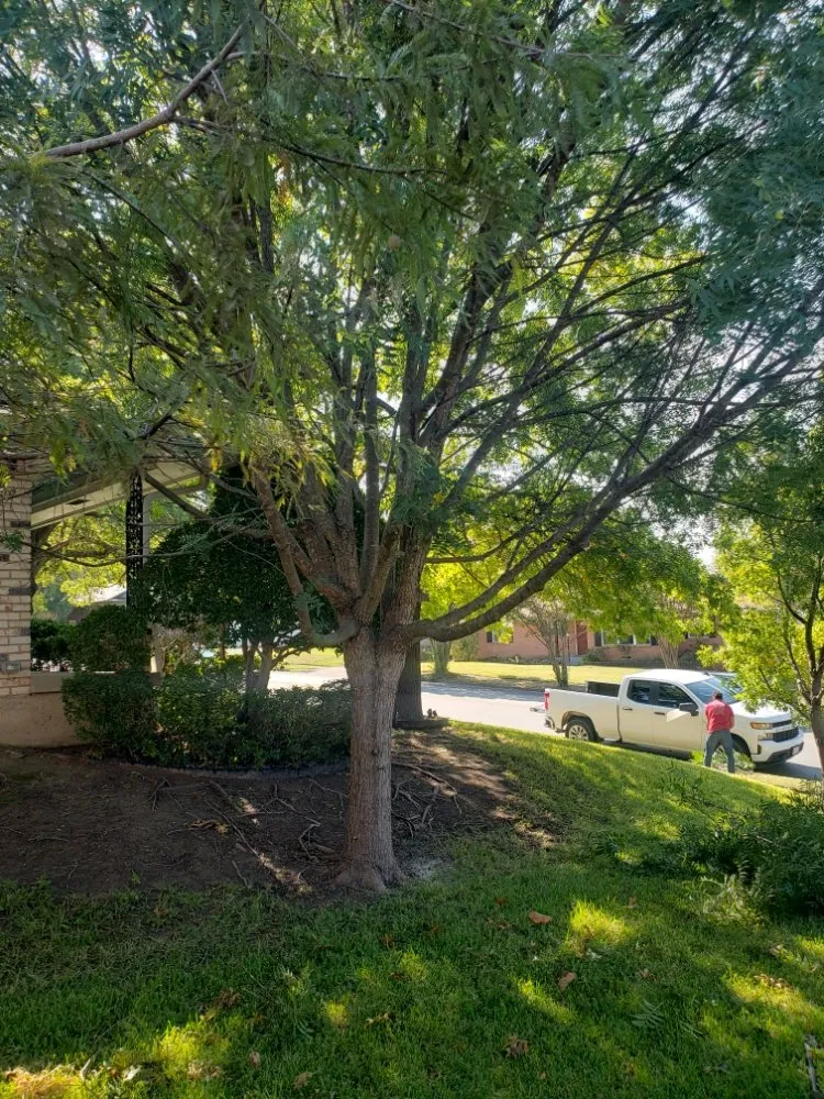 Local outdoor landscaping for homes in Garland, TX by Balthazar Success