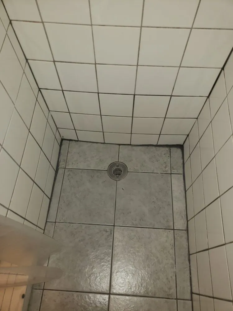 Affordable landscape installation in Garland, TX - Balthazar Success