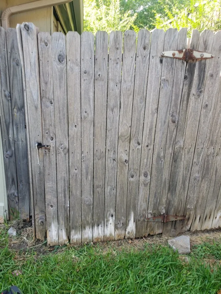 Professional lawn care service in Garland, TX by Balthazar Success