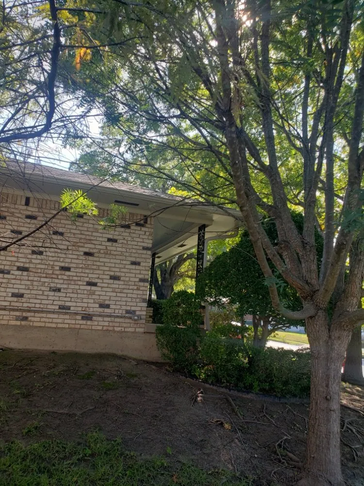 Trusted garden landscaping with custom design in Garland, TX by Balthazar Success