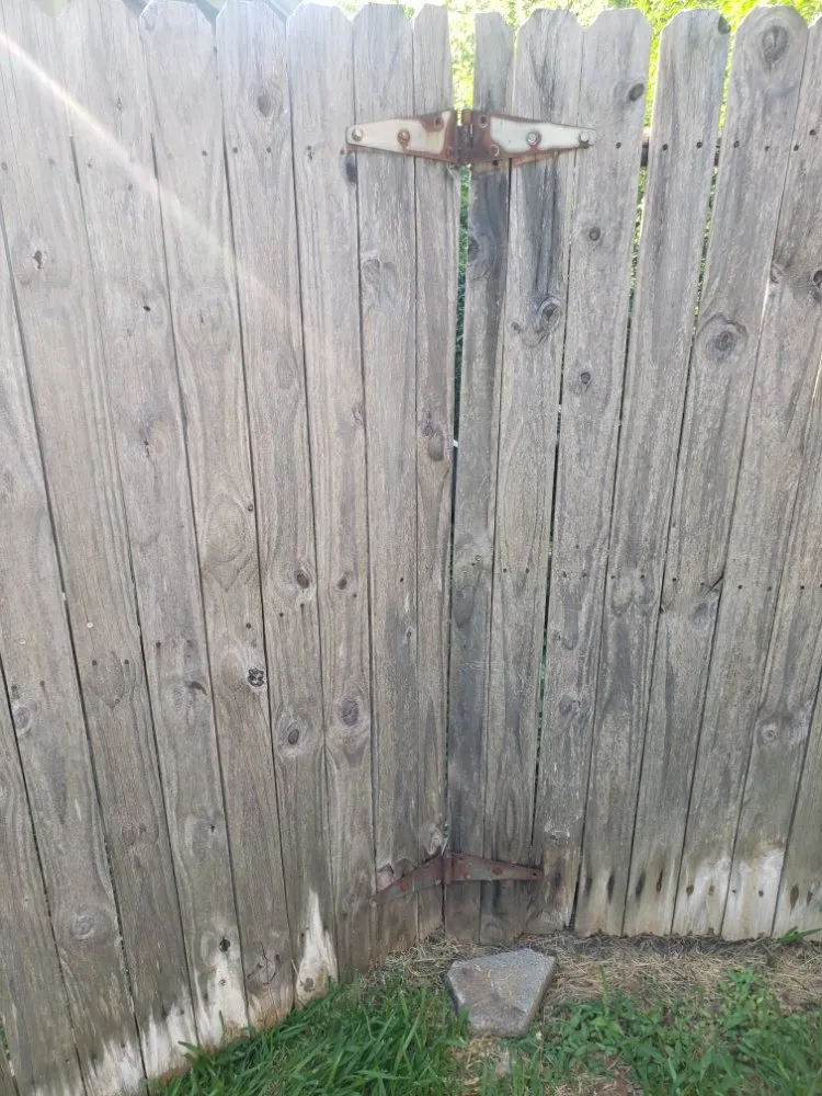 Affordable residential landscaping in Garland, TX by Balthazar Success