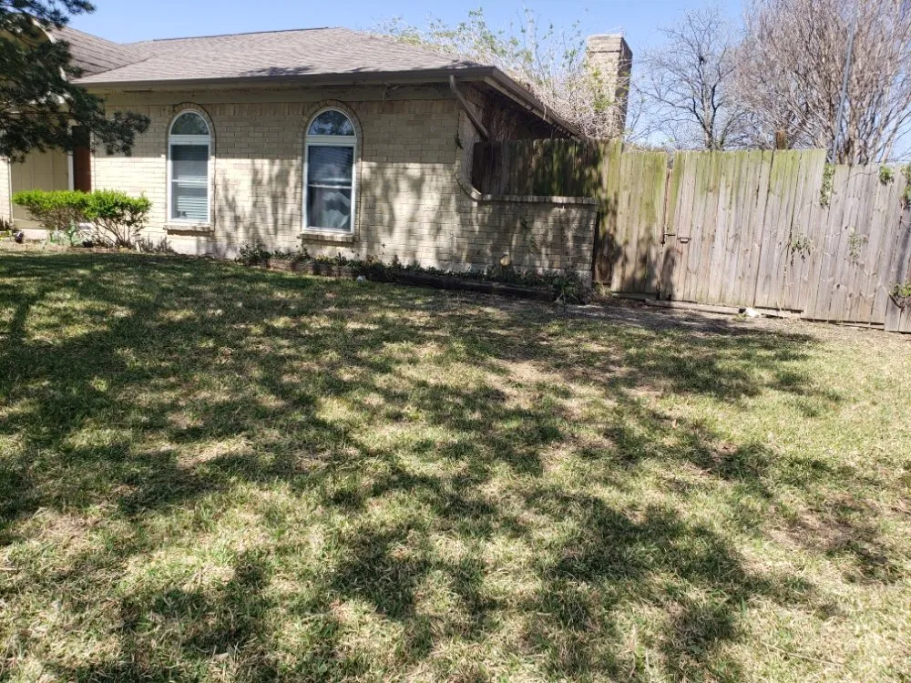 Expert yard cleanup service experts serving Garland, TX - Balthazar Success