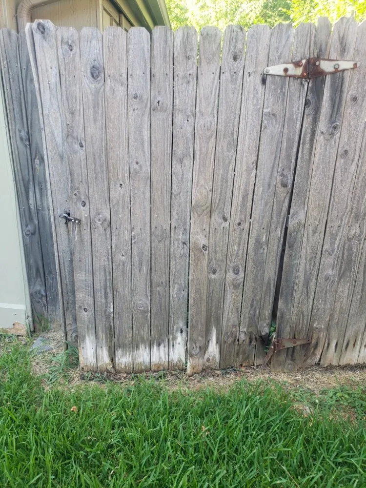 Professional landscaping services in Garland, TX - Balthazar Success