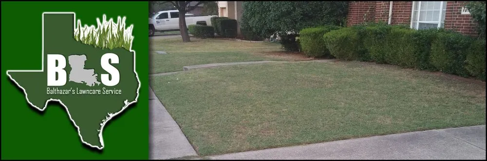 Professional yard cleanup service experts serving Mesquite, TX - Balthazar's Lawncare Service