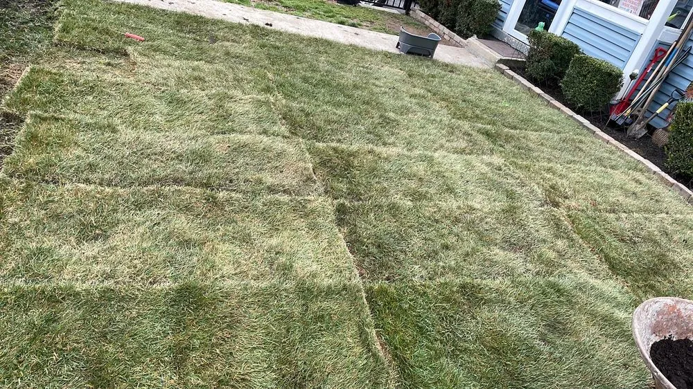Trusted landscaping services for year-round maintenance across Halethorpe, MD - Baltimore Highlands Lawn Boy