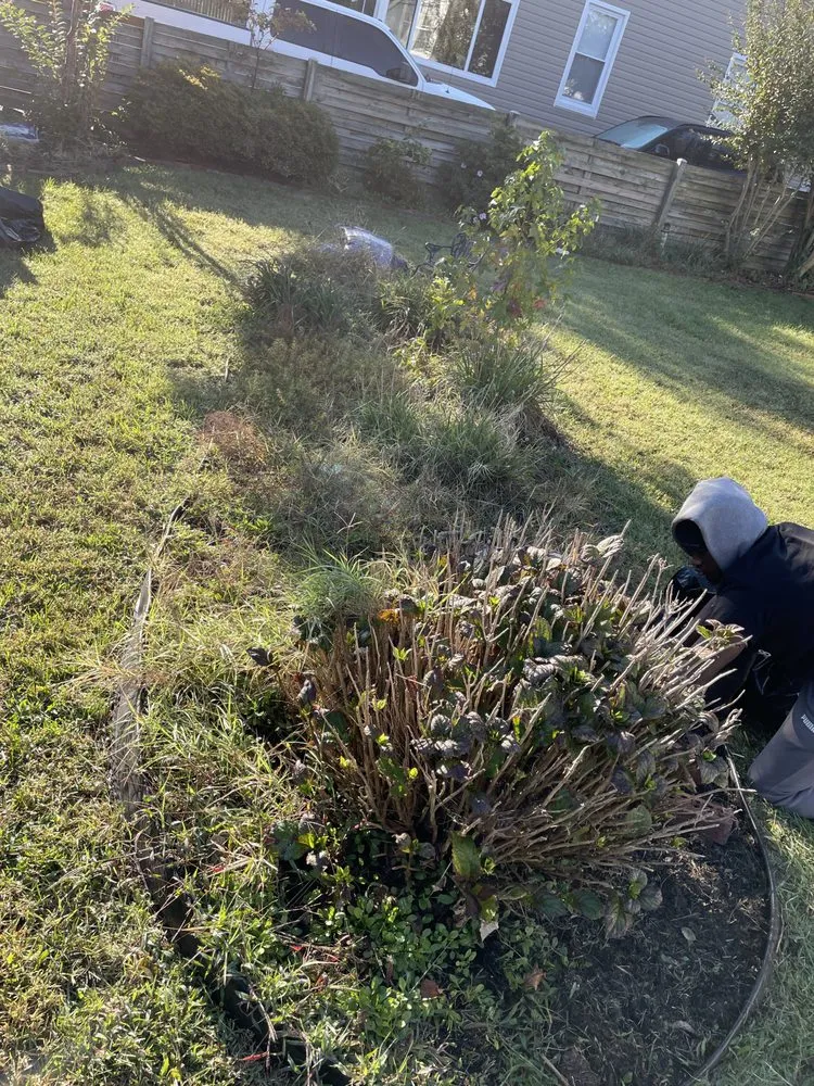 Affordable yard cleanup service for year-round maintenance across Halethorpe, MD - Baltimore Highlands Lawn Boy